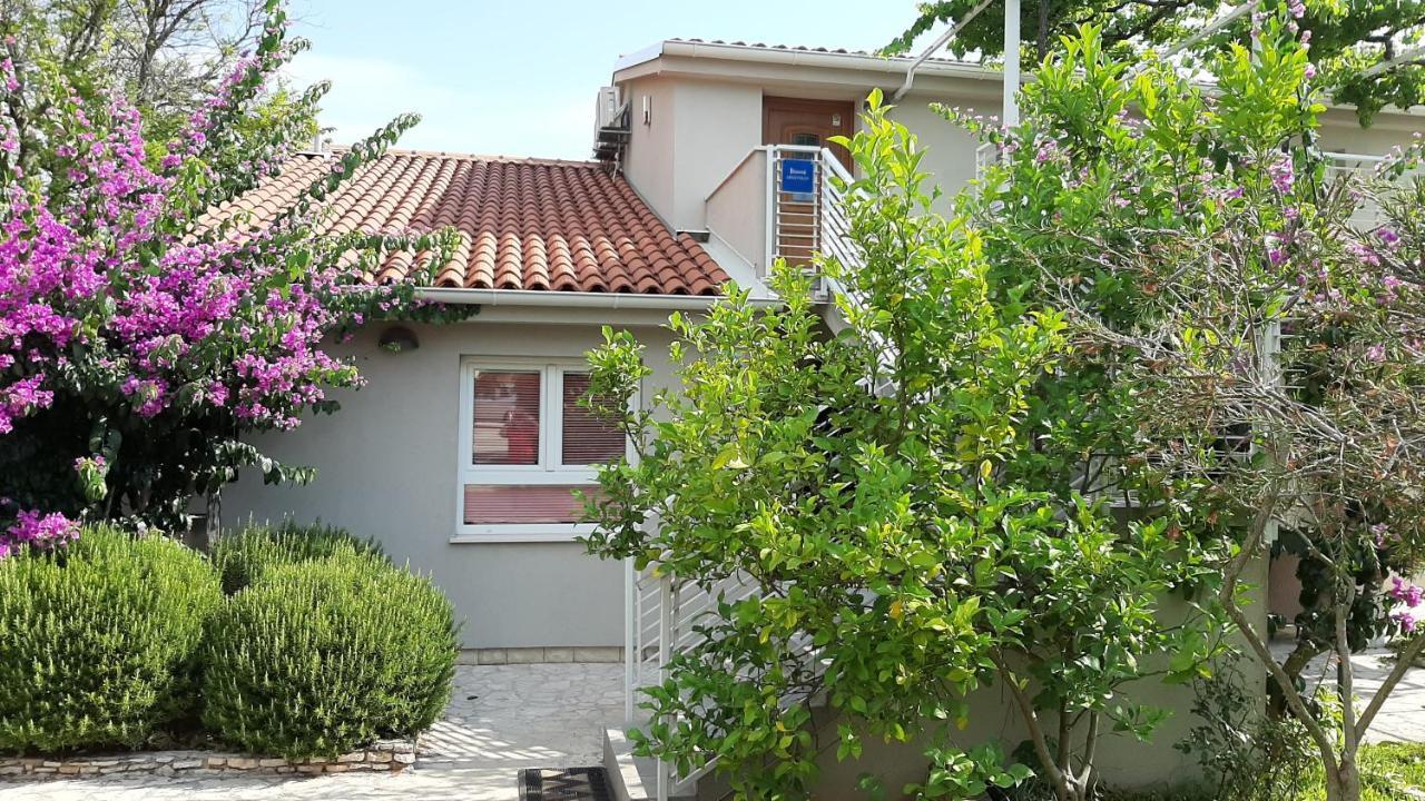 Haus Mirela Daire Ližnjan Dış mekan fotoğraf