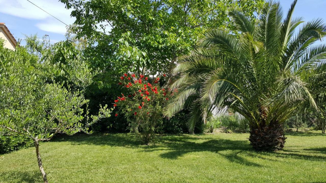 Haus Mirela Daire Ližnjan Dış mekan fotoğraf